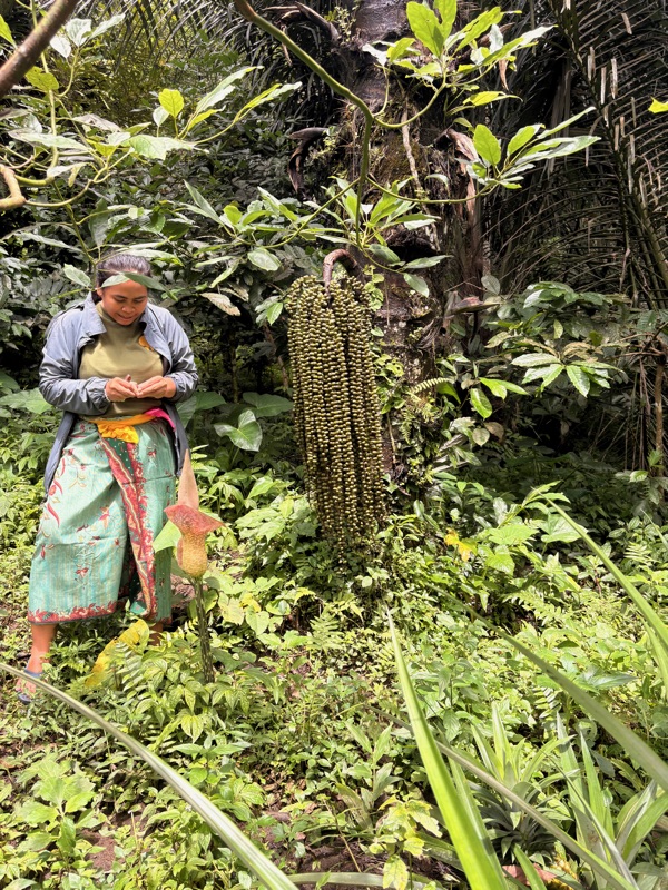 Local guide with plants